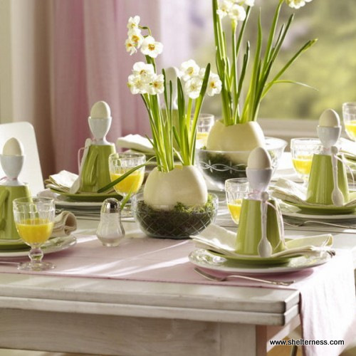 Źródło zdjęcia: ogrodniktomek.pl