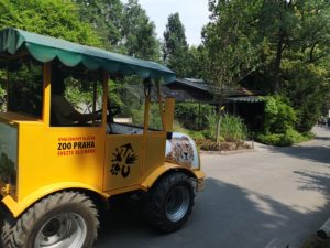 Praga i jeżdżąca na terenie ogrodu botanicznego  ciuchcia