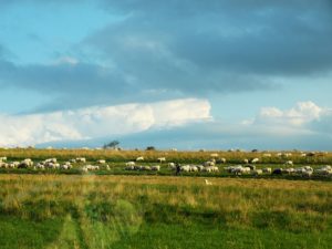 Z widokiem na Tatry
