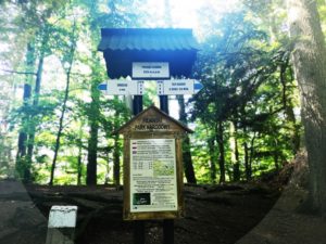 Wejście na Sokolicę