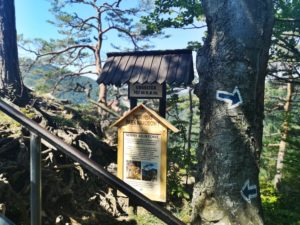 Wejście na sam szczyt Sokolicy