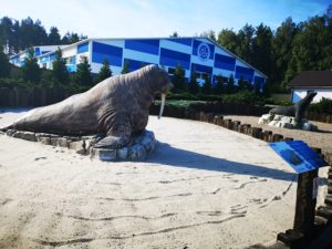 SeaPark Sarbsk - Największe fokarium w Polsce! Czy warto się wybrać?