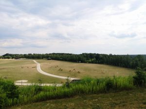 Zwierzyniec górny safari w Bałtowie