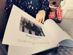 „Ekspres Polarny” – to jedna z piękniejszych i niezwykle magicznych, świątecznych książek