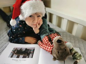 Ekspres Polarny - recenzja