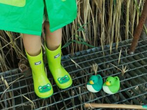 Janod kaczki do łowienia