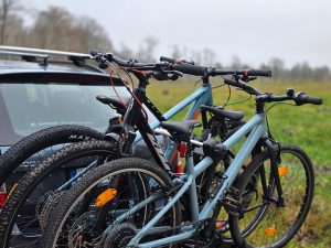 Jakie rowery wybraliśmy